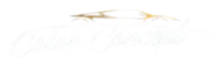 Logo color concept